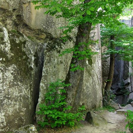 Les Callunes Anciennement Le Beausejour Annot Exteriör bild