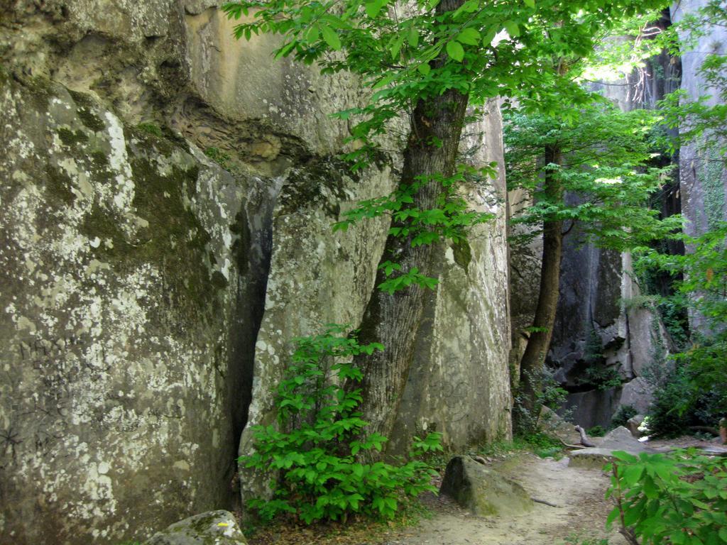 Les Callunes Anciennement Le Beausejour Annot Exteriör bild
